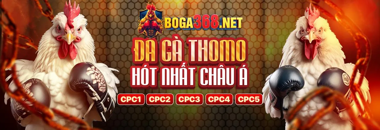 Hình ảnh tiêu đề Điều khoản dịch vụ RS99 Nhà Cái